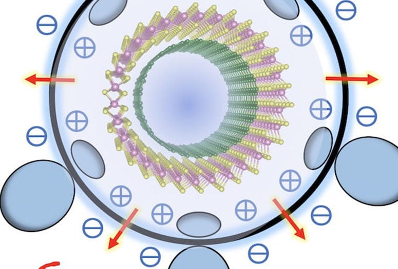 Rice University theorists have calculated flexoelectric effects in double-walled carbon nanotubes. The electrical potential (P) of atoms on either side of a graphene sheet (top) are identical, but not when the sheet is curved into a nanotube. Double-walled nanotubes (bottom) show unique effects as band gaps in inner and outer tubes are staggered. (Credit: Yakobson Research Group/Rice University)