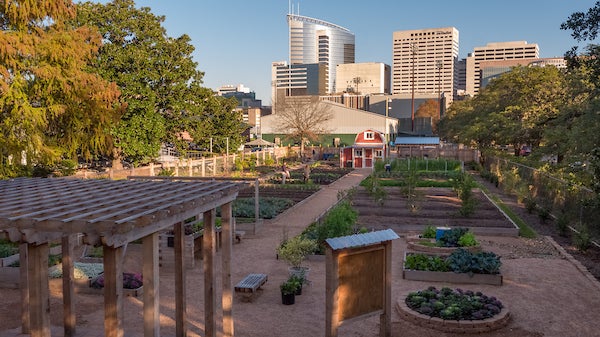 Rice Holistic Garden aerial view by Brandon Martin