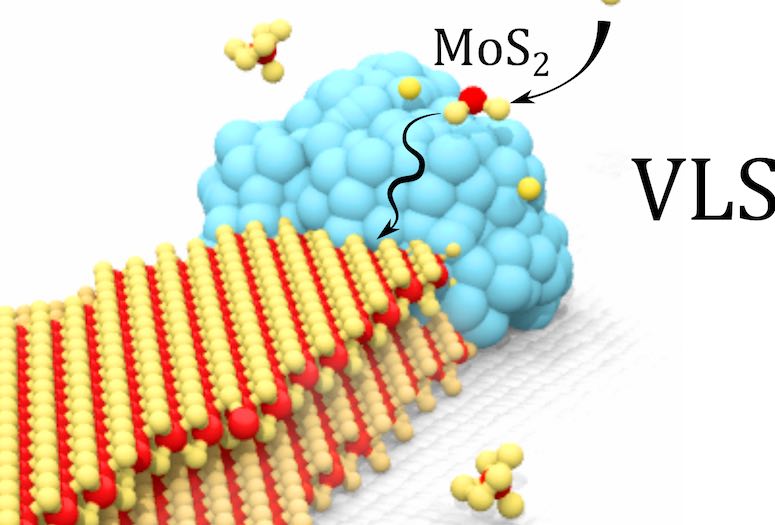 MoS2 nanoribbons