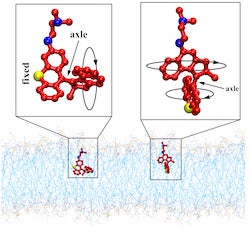 The schematics show two variants of light-activated molecular machines developed at Rice University that drill into and destroy antibiotic-resistant bacteria. The machines could be useful to fight infectious skin diseases. (Credit: Tour Research Group/Rice University)