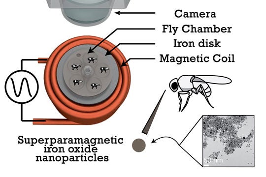 illustration of technology to remotely activate brain circuits