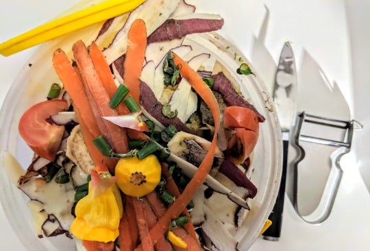 food waste and compost